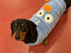 -和它·交个朋友·狗咖猫咖(爱琴海店)