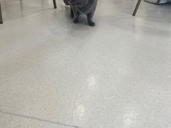 -共舞时光猫咖·狗咖(新街口店)