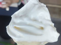 -萨朗刀克冰淇淋雪花凉(植物园店)