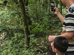 -西岭雪山大飞水景区