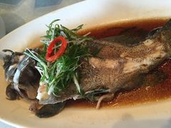-骏莱海鲜鱼港(五角场店)