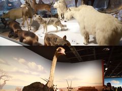 -陕西自然博物馆