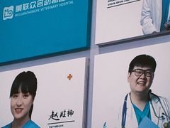 -美联众合动物医院·24h京西诊疗中心