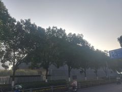 -侵华日军南京大屠杀遇难同胞纪念馆
