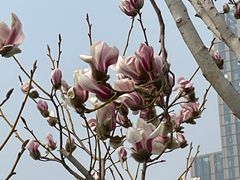 -西海子公园