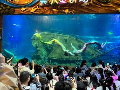 -太奥幻太奇海洋馆