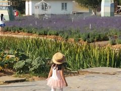 -松山湖梦幻百花洲