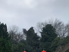 -紫金山天文台