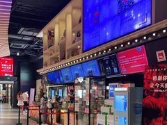 -新影联·华谊兄弟影院(望京店)