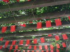 -白马涧龙池景区