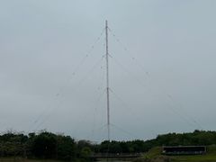 -福田红树林生态公园