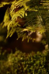 店内环境-老黑造型