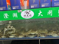-阳澄湖大闸蟹·琼灵阁牌品牌连锁(吴中总店)