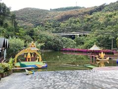 -西双版纳原始森林公园