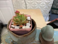 点击看大图 -Cocodemer女性健康·产后恢复(天一广场店)
