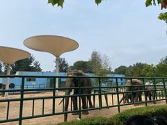 -秦皇岛野生动物园
