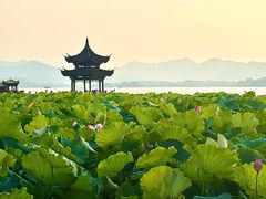-杭州湖滨in77