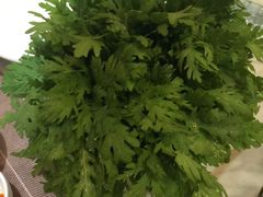 -虾佬圣汤