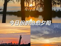 -贡湖湾湿地公园