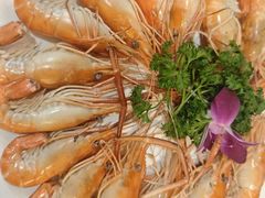 -国惠大酒楼(宝龙店)