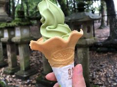 -奈良公园