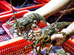 -巽寮印象美食部落餐厅·海鲜·地方特色菜(惠州体验店)