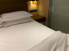 -扬州绿地铂骊酒店