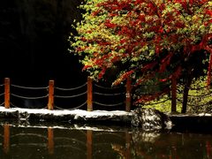 -少华山国家森林公园
