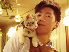 -共舞时光猫咖·狗咖(新街口店)
