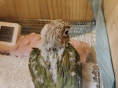 -昆山城市生态森林公园