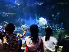 -华夏文旅海洋公园