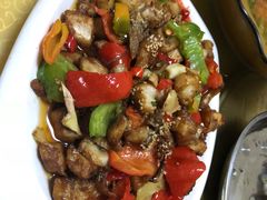 -煲来饱去冷水鱼