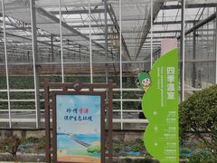 -苏州太湖西山岛开心农场