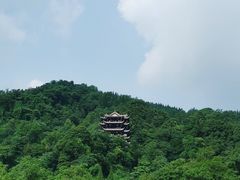 -文杏酒楼(一品天下店)