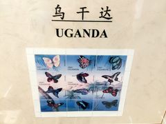 -上海昆虫博物馆