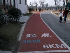 -上海长兴岛郊野公园