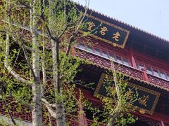 -钦赐仰殿道观