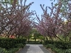 -木塔寺遗址生态公园