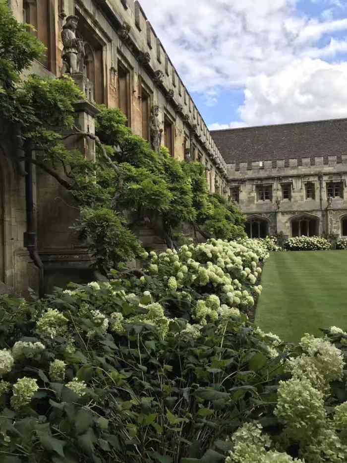 打分 牛津最美的莫德林学院,王尔德毕业于此,产出过很多主角,里面还有