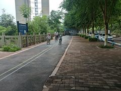 -金海湾滨江公园