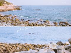 -广东惠东海龟国家级自然保护区