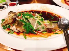 -广州富力君悦大酒店·凯菲厅