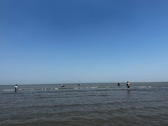 -启东黄金海滩景区