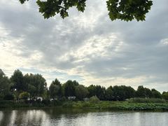 -金银湖国家城市湿地公园