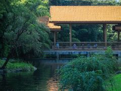-杭州植物园