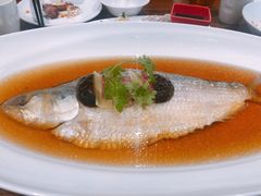-乔家栅(襄阳南路店)