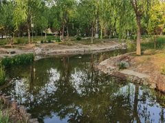 -莲花池公园