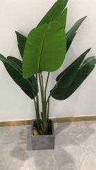 点击看大图 -久匠半永久纹眉