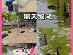 -广州融创文旅城