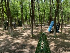 -亲兄弟真人CS团建拓展基地